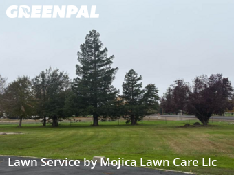 Work completed by lawn-mowing-quotes-in-Elk Grove-CA
