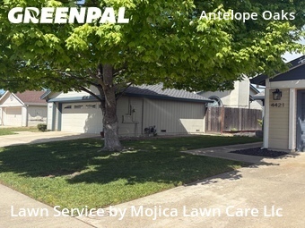 Yard Cutting nearby Antelope, CA, 