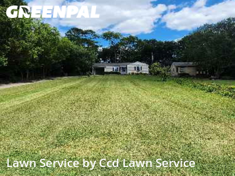 Grass Cutting nearby Knoxville, NC, 