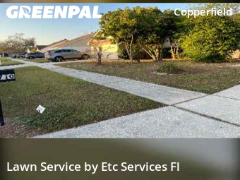 Landscaping Cleanup In Tampa,33634,Landscaping by Etc Services Fl, work completed in Nov , 2025