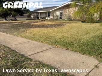 Lawn mowed in Richardson, 75081