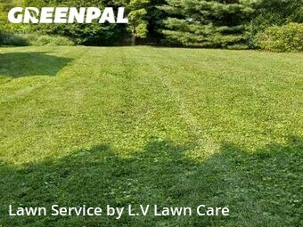 Lawn Cut nearby Hamilton, VA, 