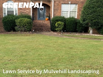 Yard Upkeep in Gardendale, 35071, Yard Care by Mulvehill Landscaping, work completed in Nov , 2025