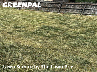 Lawn Cut nearby Thornton, CO, 