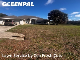 Grass Cutting nearby Ocala, FL, 