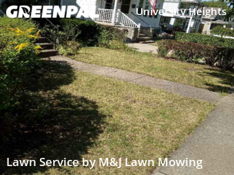 Lawn Care nearby Buffalo, NY, 