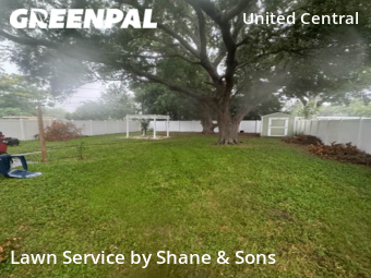 Grass Cut nearby St. Petersburg, FL, 