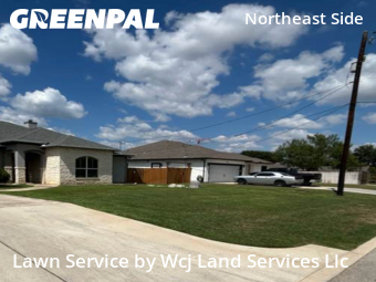 Yard Services in Selma, 78154, Yard Upkeep by Wcj Land Services Llc, work completed in Oct , 2025