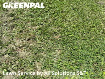 Lawn Mowing nearby Poinciana, FL, 