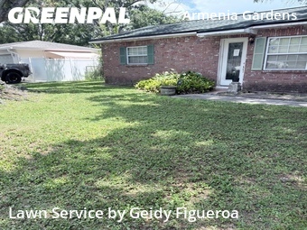 Grass Cut nearby Tampa, FL, 