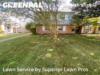 Lawn mowed in Virginia Beach, 23454