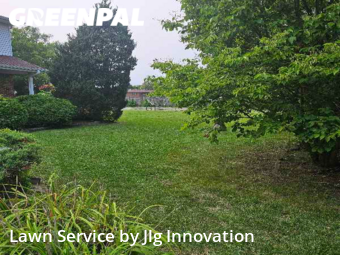 Yard Cutting nearby Orland Park, IL, 