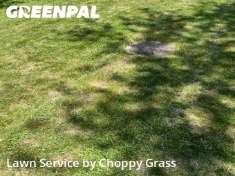 Lawn Cutting nearby Verona, NJ, 