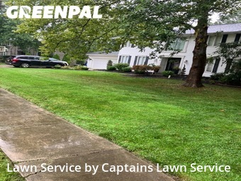 Yard Mowing nearby Buffalo, NY, 