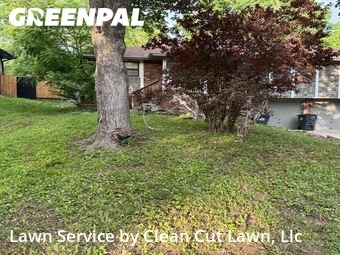 Lawn Cut nearby Blue Springs, MO, 