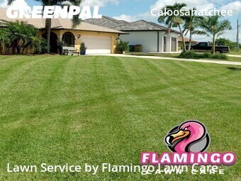 Landscaping In Cape Coral,33904,Landscaping Renovation by Flamingo Lawn Care, work completed in Jul , 2026