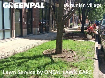 Yard Mowing nearby Chicago, IL, 