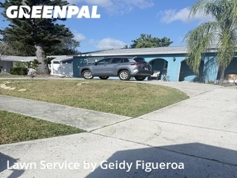 Grass Cut nearby St. Petersburg, FL, 