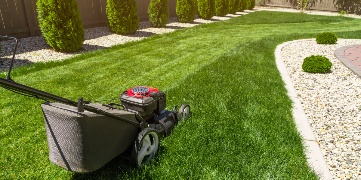 What’s the Most Popular Day to Get Your Lawn Mowed? We Looked at 100 Cities to Find Out