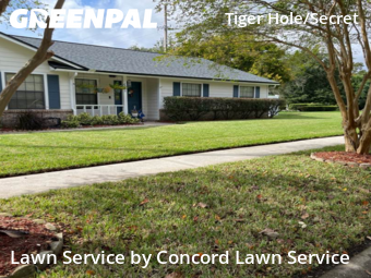 Lawn Mowing Service nearby Jacksonville, FL, 
