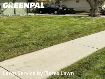 Grass Cutting nearby Palmdale, CA, 