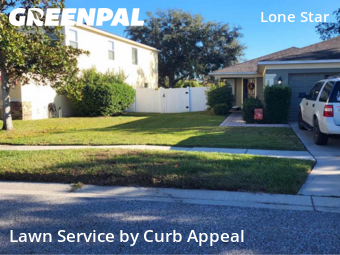 Weed Trimming in Spring Hill, 34610, Lawn Mowing by Curb Appeal , work completed in Nov , 2025