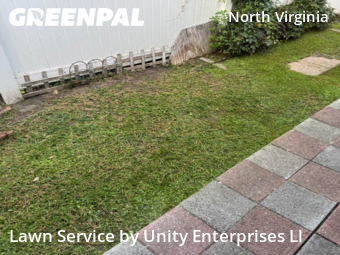 Lawn Care nearby Virginia Beach, VA, 