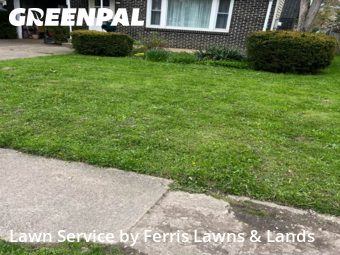 Grass Cutting nearby Hamburg, NY, 