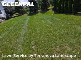 Grass Cutting nearby Lisle, IL, 