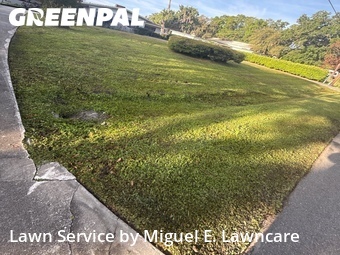 Yard Cutting nearby Orlando, FL, 