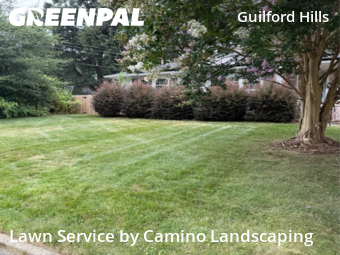 Lawn Cut nearby Greensboro, NC, 