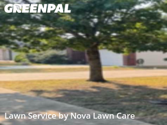 Garden Trimming in Hutto, 78634, Mowing Services by Nova Lawn Care , work completed in Nov , 2025