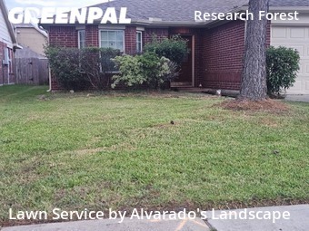 Lawn Care nearby Spring, TX, 