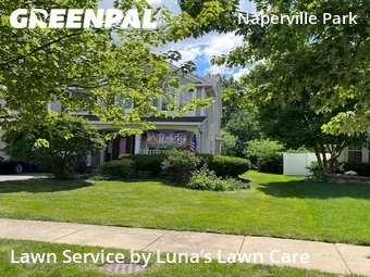 Lawn Cut nearby Naperville, IL, 