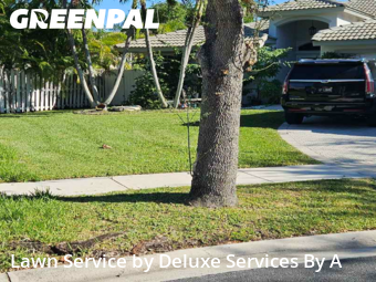 Yard Mowingin Sunrise,33351,Lawn Mowing Service by Deluxe Services By A, work completed in Dec , 2025
