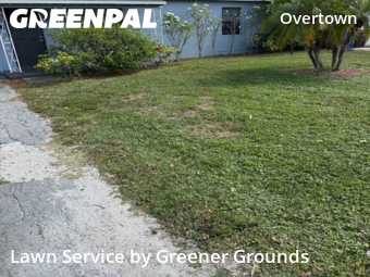 Yard Cuttingin Fort Lauderdale,33311,Lawn Service by Greener Grounds, work completed in Nov , 2025