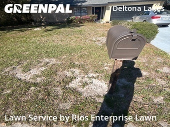 Yard Mowing nearby Deltona, FL, 