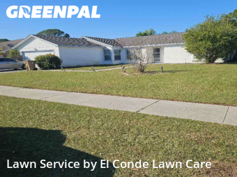 Lawn Care Service nearby Kissimmee, FL, 