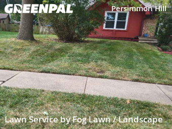 Lawn Mowing Service nearby Olathe, KS, 