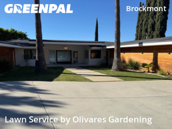 Yard Services in Glendale, 91202, Front Yard Mowing by Olivares Gardening , work completed in Dec , 2025