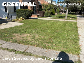 Lawn Mowing nearby Detroit, MI, 
