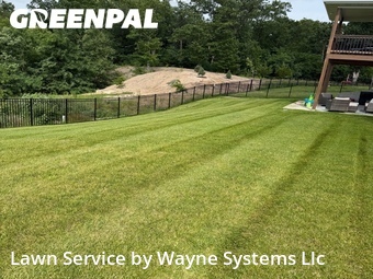 Grass Cut nearby Columbia, MO, 