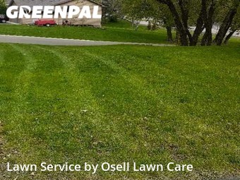 Yard Cutting nearby Maple Grove, MN, 