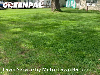 Lawn Mowing Service nearby Louisville, KY, 
