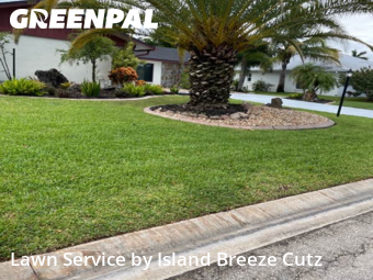 Lawn Mow nearby Fort Myers, FL, 