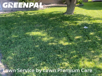 Grass Cut nearby Bellevue, NE, 