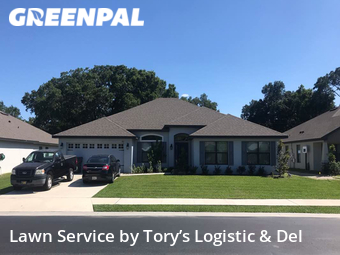 Grass Cut nearby Lakeland, FL, 