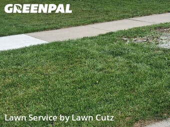 Yard Cutting nearby Lincoln, NE, 