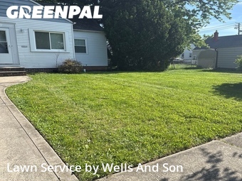 Lawn mowed in Euclid, 44132