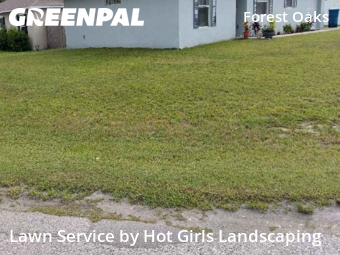 Lawn Care Service nearby Spring Hill, FL, 